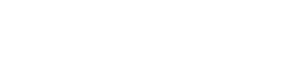 Precise Services Logo